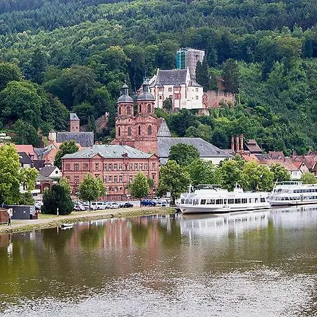 Fewo Marktheidenfeld
