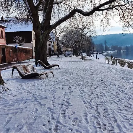 Дом отдыха Fewo Marktheidenfeld