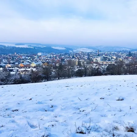 Дом отдыха Fewo Marktheidenfeld